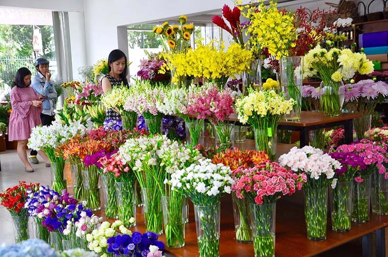 Khám Phá Shop Hoa Tươi Ở Tại TP Hải Phòng - Nơi Gửi Gắm Yêu Thương